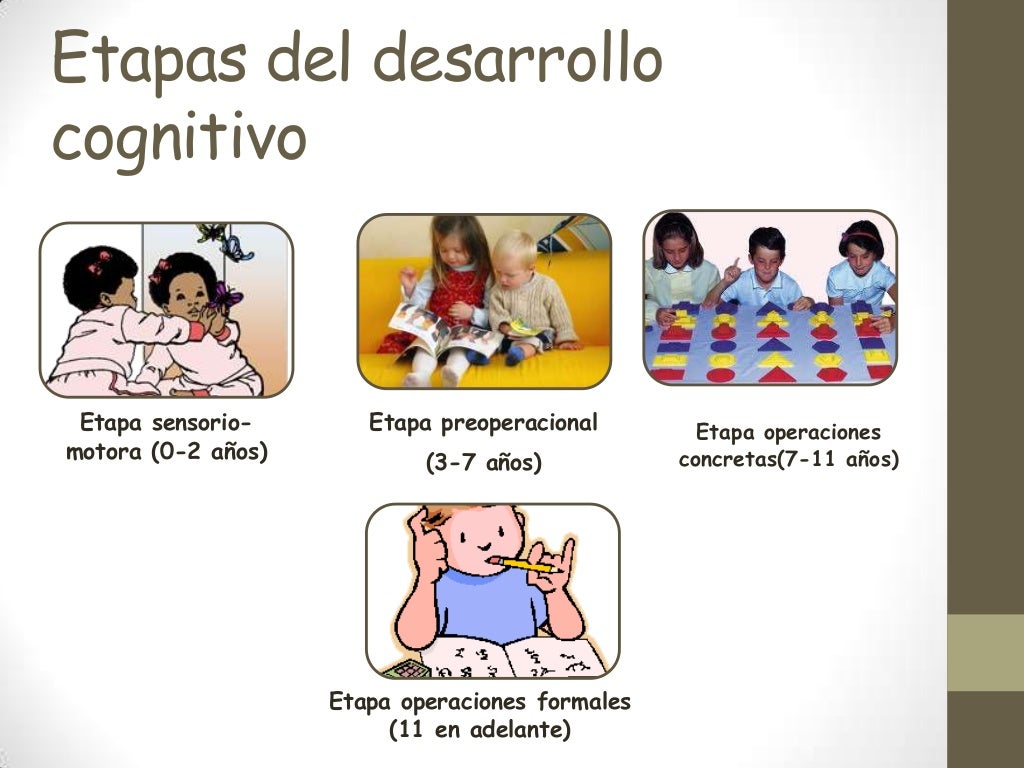 Etapas Del Desarrollo Cognitivo Según Piaget 2776