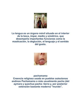 La lengua es un órgano móvil situado en el interior
de la boca, impar, medio y simétrico, que
desempeña importantes funciones como la
masticación, la deglución, el lenguaje y el sentido
del gusto.
pachamama
Creencia religiosa usada en pueblos autoctonos
andinos Pachamama o más usualmente pacha (del
aymara y quechua pacha: tierra y, por posterior
extensión bastante moderna "mundo",
 