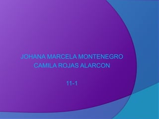 JOHANA MARCELA MONTENEGRO
CAMILA ROJAS ALARCON
11-1
 