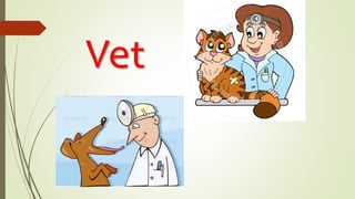 Vet
 