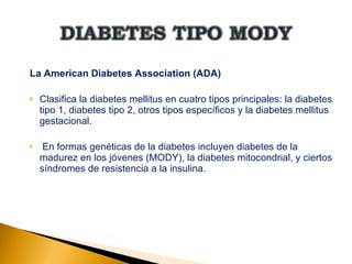 DIABETES TIPO MODY TALLER 4 | PPT | Diabetes | Diseases and Conditions