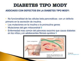 DIABETES TIPO MODY TALLER 4 | PPT | Diabetes | Diseases and Conditions