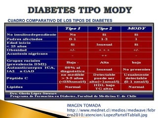 DIABETES TIPO MODY TALLER 4 | PPT | Diabetes | Diseases and Conditions