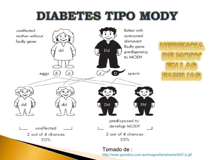 DIABETES TIPO MODY TALLER 4 DIABETES TIPO MODY TALLER 4