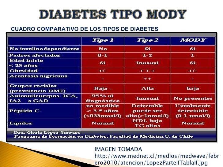 DIABETES TIPO MODY TALLER 4 DIABETES TIPO MODY TALLER 4