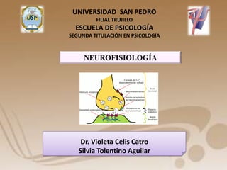 UNIVERSIDAD SAN PEDRO
         FILIAL TRUJILLO
  ESCUELA DE PSICOLOGÍA
SEGUNDA TITULACIÓN EN PSICOLOGÍA



     NEUROFISIOLOGÍA




    Dr. Violeta Celis Catro
   Silvia Tolentino Aguilar
 