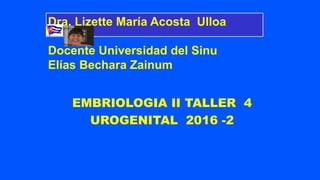 EMBRIOLOGIA II TALLER 4
UROGENITAL 2016 -2
Dra. Lizette María Acosta Ulloa
Docente Universidad del Sinu
Elías Bechara Zainum
 