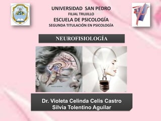 UNIVERSIDAD SAN PEDRO
           FILIAL TRUJILLO
    ESCUELA DE PSICOLOGÍA
  SEGUNDA TITULACIÓN EN PSICOLOGÍA


     NEUROFISIOLOGÍA




Dr. Violeta Celinda Celis Castro
     Silvia Tolentino Aguilar
 