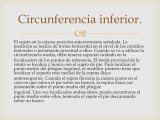 Circunferencia inferior.


El sujeto en la misma posición anteriormente señalada. La
medición se realiza de forma horizontal en el nivel de los cóndilos
femorales o justamente proximal a ellos. Cuando se va a utilizar la
circunferencia media, debe tenerse especial cuidado en la
localización de los puntos de referencia. El borde proximal de la
rotula se localiza y marca con el sujeto de pie. Para localizar el
punto medio del pliegue inguinal, el medidor primero tiene que
localizar el aspecto mas medial de la espina iliaca
anterosuperior. Cuando el sujeto flexiona la cadera (como en el
caso en que coloca el pie sobre un banco), la espina iliaca cae
justamente sobre el punto medio del pliegue
inguinal. Una vez localizados ambos sitios, puede encontrarse el
punto medio entre ellos, teniendo el sujeto el pie descansando
sobre un banco.

 