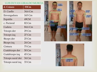 LUIS DUVAN GIRALDO MURCIA
d. Cráneo

53Cm

D. Cuello

34.6 Cm

Envergadura

163 Cm

Espalda

49CM

c. Pectoral

82 Cm

Cadera

84.6 Cm

Tríceps der

29 Cm

Tríceps izq

27 Cm

Bíceps der

25 Cm

Bíceps izq

24 Cm

Cintura

75 Cm

Cuádriceps der

50 Cm

Cuádriceps izq

45 Cm

Tríceps sural der

34 Cm

Tríceps sural izq

33 Cm



 