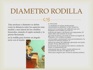 DIAMETRO RODILLA

Esta anchura o diámetro se define
como la distancia entre los aspectos mas
medial y mas lateral de los cóndilos
femorales, estando el sujeto sentado y la
pierna flexionada
en la rodilla para formar un ángulo
recto con el muslo.

EL PROCEDER.

La medición no se hace desde puntos
somatométricos definidos, se hace desde los
puntos de la superficie del calibrador que son
tangentes a los condilos, por ello, la
posición del sujeto y del técnico son importantes. El
sujeto debe estar sentado de modo
que entre la pierna y el muslo se forme un ángulo de
90 grados. Los condilos se palpan
con los dedos, manteniendo estos proximalmente a la
posición de máxima anchura, se
aplican las ramas del calibrador ejerciendo una fuerte
presión. Si hay dificultad en la
localización de los aspectos mas lateral y medial del
hueso, en dependencia del
instrumento que se utilice, puede realizarse un
movimiento circular con alguno de los
dedos para asegurar que se toma la máxima anchura.

 