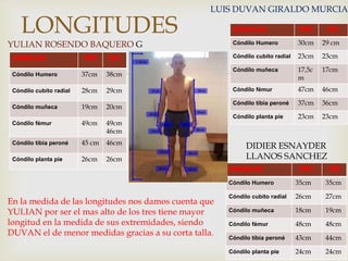 LONGITUDES

LUIS DUVAN GIRALDO MURCIA
DER.

IZQ.

Cóndilo Humero

YULIAN ROSENDO BAQUERO G

CONDILOS

30cm

29 cm

Cóndilo cubito radial

23cm

23cm

Cóndilo muñeca

17,5c
m

17cm

DER

IZQ.

Cóndilo Humero

37cm

38cm

Cóndilo cubito radial

28cm

29cm

Cóndilo fémur

47cm

46cm

Cóndilo muñeca

19cm

20cm

Cóndilo tibia peroné

37cm

36cm

49cm

49cm
46cm

Cóndilo planta pie

23cm

23cm

Cóndilo fémur
Cóndilo tibia peroné

45 cm

46cm

Cóndilo planta pie

26cm

26cm

CONDILOS



DIDIER ESNAYDER
LLANOS SANCHEZ
CONDILOS

DER.

IZQ

Cóndilo Humero

En la medida de las longitudes nos damos cuenta que
YULIAN por ser el mas alto de los tres tiene mayor
longitud en la medida de sus extremidades, siendo
DUVAN el de menor medidas gracias a su corta talla.

35cm

35cm

Cóndilo cubito radial

26cm

27cm

Cóndilo muñeca

18cm

19cm

Cóndilo fémur

48cm

48cm

Cóndilo tibia peroné

43cm

44cm

Cóndilo planta pie

24cm

24cm

 