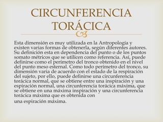CIRCUNFERENCIA
TORÁCICA



Esta dimensión es muy utilizada en la Antropología y
existen varias formas de obtenerla, según diferentes autores.
Su definición esta en dependencia del punto o de los puntos
somato métricos que se utilicen como referencia. Así, puede
definirse como el perímetro del tronco obtenido en el nivel
del punto meso esternal. Como todo perímetro del tronco, su
dimensión varia de acuerdo con el estado de la respiración
del sujeto, por ello, puede definirse una circunferencia
torácica normal, que se obtiene entre una inspiración y una
espiración normal, una circunferencia torácica máxima, que
se obtiene en una máxima inspiración y una circunferencia
torácica máxima que es obtenida con
una espiración máxima.

 