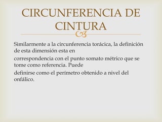 CIRCUNFERENCIA DE
CINTURA



Similarmente a la circunferencia torácica, la definición
de esta dimensión esta en
correspondencia con el punto somato métrico que se
tome como referencia. Puede
definirse como el perímetro obtenido a nivel del
onfálico.

 