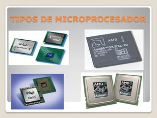 TIPOS DE MICROPROCESADOR