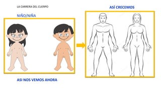 LA CARRERA DEL CUERPO
NIÑO/NIÑA
ASI NOS VEMOS AHORA
ASÍ CRECEMOS
 