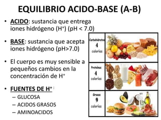 EQUILIBRIO ACIDO-BASE (A-B)
• ACIDO: sustancia que entrega
iones hidrógeno (H+) (pH < 7.0)
• BASE: sustancia que acepta
iones hidrógeno (pH>7.0)
• El cuerpo es muy sensible a
pequeños cambios en la
concentración de H+
• FUENTES DE H+ :
– GLUCOSA
– ACIDOS GRASOS
– AMINOACIDOS
 
