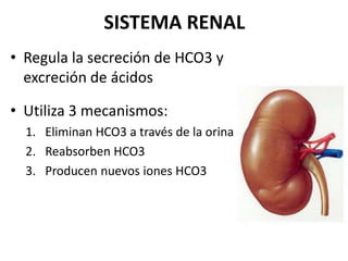 SISTEMA RENAL
• Regula la secreción de HCO3 y
excreción de ácidos
• Utiliza 3 mecanismos:
1. Eliminan HCO3 a través de la orina
2. Reabsorben HCO3
3. Producen nuevos iones HCO3
 