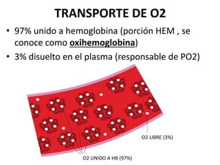 TRANSPORTE DE O2
• 97% unido a hemoglobina (porción HEM , se
conoce como oxihemoglobina)
• 3% disuelto en el plasma (responsable de PO2)
O2 UNIDO A HB (97%)
O2 LIBRE (3%)
 