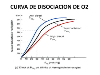 CURVA DE DISOCIACION DE O2
 