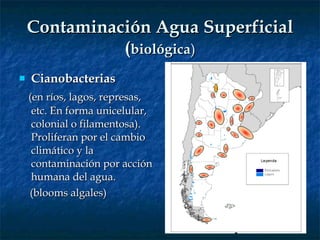 Contaminación Agua Superficial ( biológica ) Cianobacterias ( en ríos, lagos, represas, etc. En forma unicelular, colonial o filamentosa ).  Proliferan por el cambio climático y la contaminación por acción humana del agua. (blooms algales) 