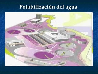 Potabilización del agua 