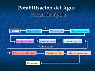 Potabilización del Agua     Filtración rápida Fuente Captación Tamizado Desarenado Coagulación Floculación Decantación Filtración   Rápida Desinfección Almacenamiento Consumo A clarificación 