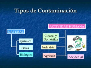 Tipos de Contaminación NATURAL ACTIVIDAD HUMANA Química Biológica Cloacal y Doméstica Industrial Agrícola Accidental Física 