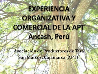 EXPERIENCIA ORGANIZATIVA Y COMERCIAL DE LA APTAncash, Perú Asociación de Productores de Tara   San Marcos, Cajamarca (APT))  
