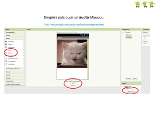 Despré s pots pujar un àudio Miauuuu
(http://recursostic.educacion.es/bancoimagenes/web

 