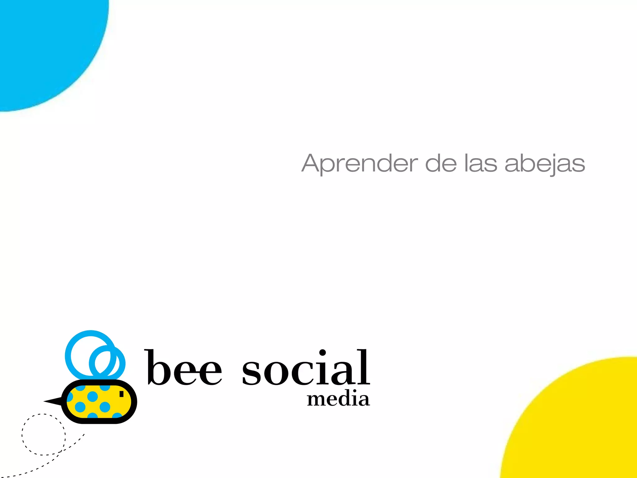 Aprender de las abejas