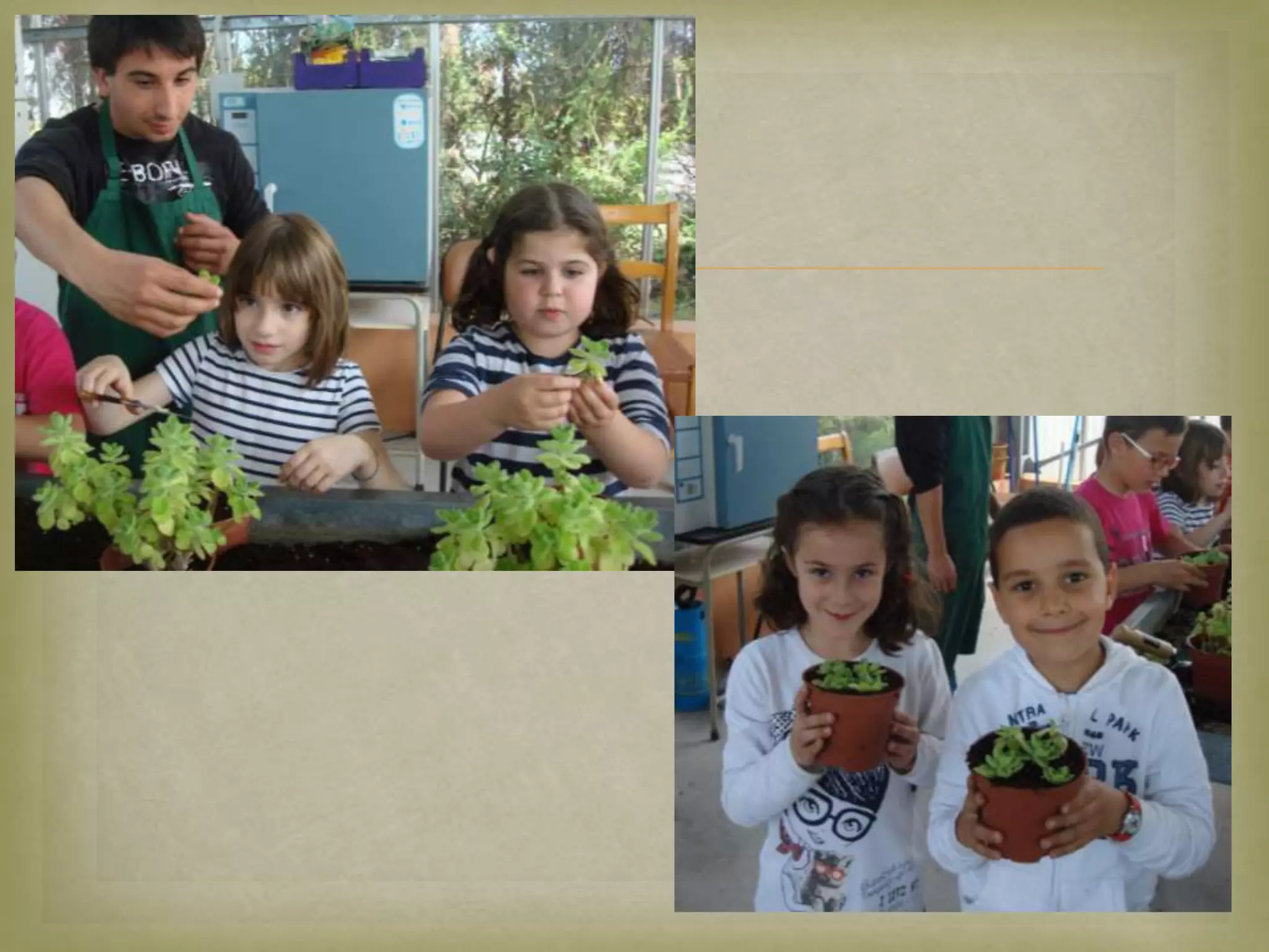 Taller Aproscom Power PPTX taller-aproscom-power-pptx