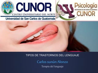 TIPOS DE TRASTORNOS DEL LENGUAJE
CarlossunúnAlonzo
Terapia del lenguaje
 