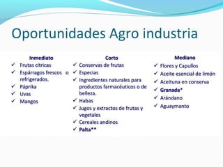 Oportunidades Agro industria 
 