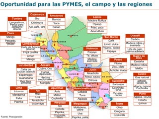 Oportunidad para las PYMES, el campo y las regiones 
Cajamarca 
Chirimoya 
Ajo, café, tara 
Ancash 
Tumbes 
Langostinos, 
Pesca para 
consumo 
directo 
Lambayeque 
Caña de Azúcar 
Cobre, Oro 
Harina 
d’pescado 
Hierbas 
medicinales 
(etanol) 
Frijol castilla 
Ica 
Higo 
Uva 
Limón 
Mango 
La Libertad 
Caña de 
azúcar (etanol) 
Espárragos 
Guanábana 
Alcachofa 
Espárrago 
Piura 
Mango 
Pescado, 
marisco 
Lima 
Lúcuma 
Mandarina 
Palta 
Paprika 
Loreto 
Madera Rolliza 
Pijuayo 
Frijol, yuca 
Acuicultura 
San Martin 
Café 
Limón dulce 
Pijuayo, cacao 
Papaya 
Amazonas 
Bambú 
Yuca 
Cacao 
Marigold 
Upvima,i etanrtao, 
Oro 
Ucayali 
Carbón 
Madera rolliza y 
aserrada 
Uña de gato, 
palma aceitera 
Huánuco 
Papaya 
Té, olluco 
Madera 
aserrada 
Apurímac 
Anís 
Melón 
Arequipa 
Ajo 
Cebolla 
Paprika, 
Cocohlivinoilla, 
Madre de 
Dios 
Castaña 
Madera rolliza 
Melón 
Cusco 
Gas natural 
achiote, 
cacao, té 
alpaca, ovinos 
Cochinilla 
Puno 
Alpaca, vicuña 
Estaño 
quinua 
Pasco 
Plomo 
Junín Achiote, maca 
Alcachofa 
Maca, sauco 
Cítricos 
Zinc, plata 
Cochinilla 
Fuente: Proexpansión 
Ayacucho 
Barbasco 
Cochinilla, 
tuna 
Vicuñas, 
cacao 
Huancavelica 
Cebada 
Tuna 
Alpacas 
Limón 
Moquegua 
Molibdeno, 
cobre 
Uva 
Paprika, palta 
Tacna 
Olivo 
Orégano 
Cochinilla 
 