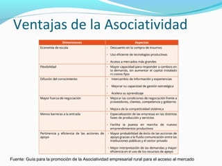 Ventajas de la Asociatividad 
Fuente: Guía para la promoción de la Asociatividad empresarial rural para el acceso al mercado 
 