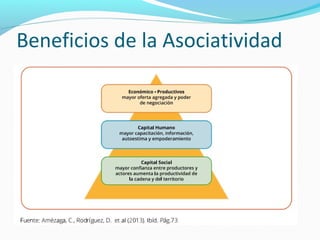 Beneficios de la Asociatividad 
 