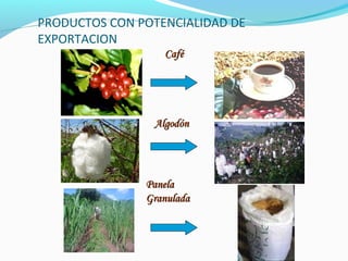 PRODUCTOS CON POTENCIALIDAD DE 
EXPORTACION 
CCaafféé 
AAllggooddóónn 
PPaanneellaa 
GGrraannuullaaddaa 
 