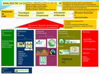 AANNAALLISISISIS D DEE L LAA C CAADDEENNAA P PRROODDUUCCTTIVIVAA E ENN E ELL N NIVIVEELL M MICICRROO MMaanneejjoo yy ccoonnsseerrvvaacciióónn ddee ssuueellooss 
AAssoocciiaacciioonneess 
ddee 
PPrroodduuccttoorreess 
FFuueenntteess 
ddee 
FFiinnaanncciiaammiieennttoo 
DDeessaarrrroolllloo ddee ccoonnvveenniiooss ppaarraa llaa ccoommeerrcciiaalliizzaacciióónn 
FFoorrmmaalliizzaacciióónn ddee aassoocciiaacciioonneess ppaarraa llaa ccoommeerrcciiaalliizzaacciióónn 
FFoorrmmaalliizzaacciióónn ddee aassoocciiaacciioonneess ppaarraa ccoonnccrreettaarr ffiinnaanncciiaammiieennttooss 
CCiieerrrree ddee nneeggoocciiooss eenn eell mmeerrccaaddoo llooccaall 
CCiieerrrree ddee nneeggoocciiooss eenn eell mmeerrccaaddoo nnaacciioonnaall ee iinntteerrnnaacciioonnaall 
CAC 
ORO VERDE 
Producción 
de 
Café 
Producción 
de 
Café 
Café de Alta Calidad en 
Mercados Nacionales 
e 
Internacionales 
Café de Alta Calidad en 
Mercados Nacionales 
e 
Internacionales 
Frutos de Selva 
Akuichina 
Unión Progreso 
Selva Andina 
MMeerrccaaddooss 
NNAACCIIOONNAALL 
Café Pergamino 
IINNTTEERRNNAACCIIOONNAALL 
Café Oro 
EEUU 
EUROPA 
JAPON 
MMaanneejjoo ddee PPllaaggaass yy EEnnffeerrmmeeddaaddeess 
MMaanneejjoo CCoosseecchhaa yy PPoossttccoosseecchhaa 
PPrraaccttiiccaass ccuullttuurraalleess: PPooddaass,, ssoommbbrraass,, vviivveerroo,, eettcc 
EEmmpprreessaass 
CCeerrttiiffiiccaaddoorraass 
OOppeerraaddoorreess 
CCoommeerrcciiaalleess 
PERHUS 
AC 
OOppeerraaddoorreess 
ddee 
SSeerrvviicciiooss 
IDACA 
AMAZON 
ECOSELVA 
CIDO 
CICAP 
CIAD 
IDSA 
CAC 
ORO VERDE 
Tecnología 
Productiva 
Tecnología 
Productiva 
Gestión 
Empresarial 
Gestión 
Empresarial 
Articulación 
al Mercado 
Articulación 
al Mercado 
SSeerrvviicciiooss ddee DDeessaarrrroolllloo ddee CCaappaacciiddaaddeess: 
MMeejjoorraa ddee pprroodduucccciióónn yy CCoommeerrcciiaalliizzaacciióónn 
FFoorrttaalleecciimmiieennttoo oorrggaanniizzaacciioonnaall 
LLiiddeerraazzggoo 
FFoorrmmaacciióónn ddee rreeddeess ddee ddeessaarrrroolllloo ppaarraa 
sseerrvviicciiooss ddee CCaappaacciittaacciióónn yy AAssiisstteenncciiaa TTééccnniiccaa.. 
CCoonncceerrttaacciióónn 
 