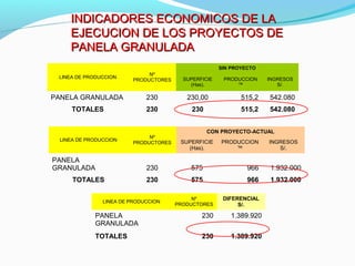 INDICADORES EECCOONNOOMMIICCOOSS DDEE LLAA 
EEJJEECCUUCCIIOONN DDEE LLOOSS PPRROOYYEECCTTOOSS DDEE 
PPAANNEELLAA GGRRAANNUULLAADDAA 
LINEA DE PRODUCCION Nº 
PRODUCTORES 
SIN PROYECTO 
SUPERFICIE 
(Has). 
PRODUCCION 
™ 
INGRESOS 
S/. 
PANELA GRANULADA 230 230,00 515,2 542.080 
TOTALES 230 230 515,2 542.080 
LINEA DE PRODUCCION Nº 
PRODUCTORES 
CON PROYECTO-ACTUAL 
SUPERFICIE 
(Has). 
PRODUCCION 
™ 
INGRESOS 
S/. 
PANELA 
GRANULADA 230 575 966 1.932.000 
TOTALES 230 575 966 1.932.000 
LINEA DE PRODUCCION Nº 
PRODUCTORES 
DIFERENCIAL 
S/. 
PANELA 
GRANULADA 
230 1.389.920 
TOTALES 230 1.389.920 
 