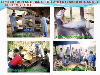 PRODUCCION ARTESANAL DDEE PPAANNEELLAA GGRRAANNUULLAADDAA AANNTTEESS 
DDEELL PPRROOYYEECCTTOO 
TTRRAAPPIICCHHEE AA CCAABBAALLLLOO PPAAIILLAA DDEE CCOONNCCEENNTTRRAACCIIOONN 
BBUUNNQQUUEE DDEE CCRRIISSTTAALLIIZZAACCIIOONN LLOOCCAALL DDEE PPRROOCCEESSAAMMIIEENNTTOO 
 