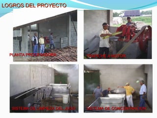 LLOOGGRROOSS DDEELL PPRROOYYEECCTTOO 
TTRRAAPPIICCHHEE AA MMOOTTOORR 
PPLLAANNTTAA PPRROOCCEESSAADDOORRAA 
SSIISSTTEEMMAA DDEE LLIIMMPPIIEEZZAA DDEELL JJUUGGOO SSIISSTTEEMMAA DDEE CCOONNCCEENNTTRRAACCIIOONN 
 