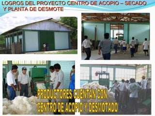 LOGROS DEL PROYECTO CENTRO DDEE AACCOOPPIIOO –– SSEECCAADDOO 
YY PPLLAANNTTAA DDEE DDEESSMMOOTTEE 
 