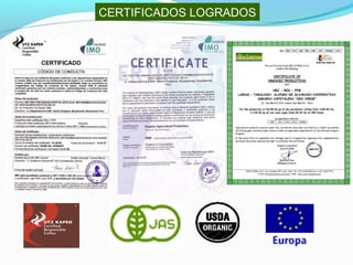 CERTIFICADOS LOGRADOS 
 