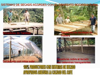 SSIISSTTEEMMAASS DDEE SSEECCAADDOO AACCOORRDDEESS CCOONN EELL CCOONNTTEEXXTTOO SSOOCCIIOOCCUULLTTUURRAALL 
Secadores ddee bbaannddeejjaass ddee 
mmaaddeerraa 
SSeeccaaddoorreess ddee TTaarriimmaass 
SSeeccaaddoorreess ccoonn mmiiccaa ssoollaarr.. 
SSeeccaaddoorreess ssoobbrree eell tteerrrraaddoo 
ccoonn ccaallaammiinnaass ttrraannssppaarreenntteess 
 