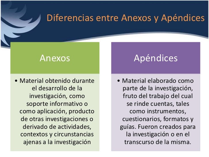 Que Son Los Apendices Y Anexos