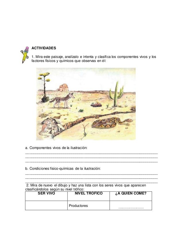 Taller de mejoramiento SEPTIMO biologia ecosistemas