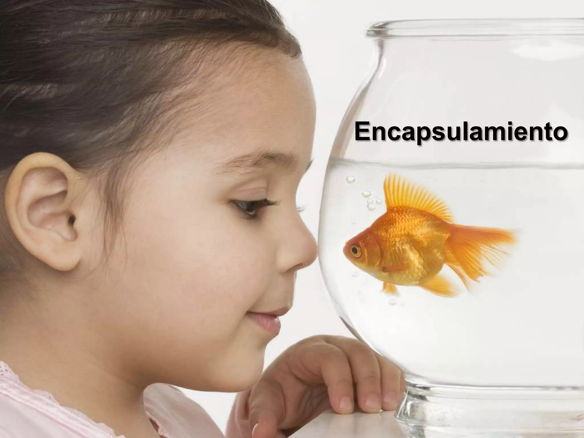 Encapsulamiento