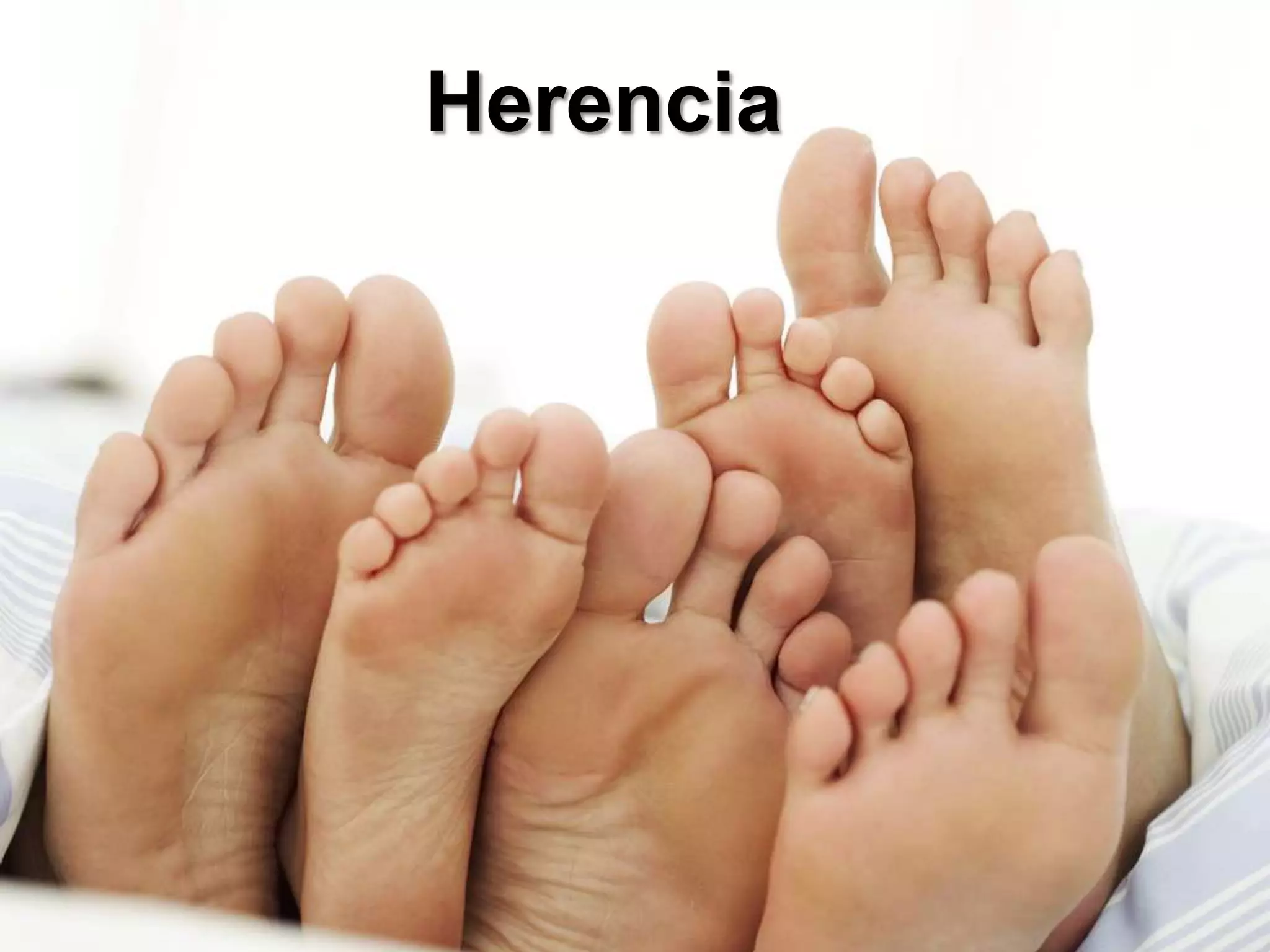 Herencia