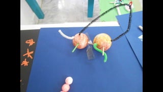 Taller carla